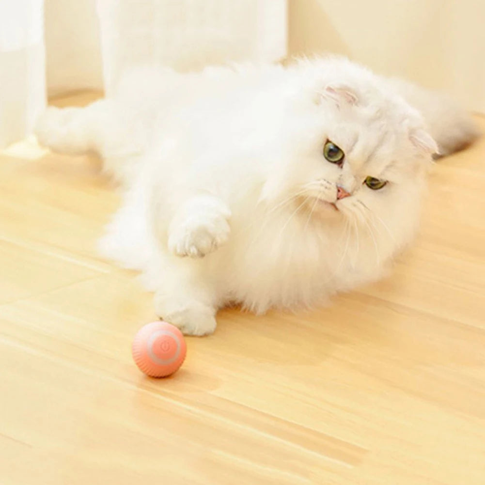 PurrfectPlaymate: Pet Gravity Ball