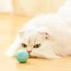 PurrfectPlaymate: Pet Gravity Ball