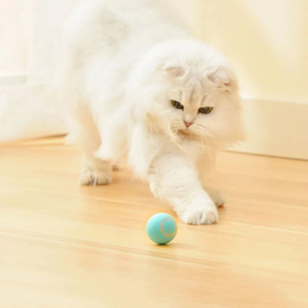 PurrfectPlaymate: Pet Gravity Ball